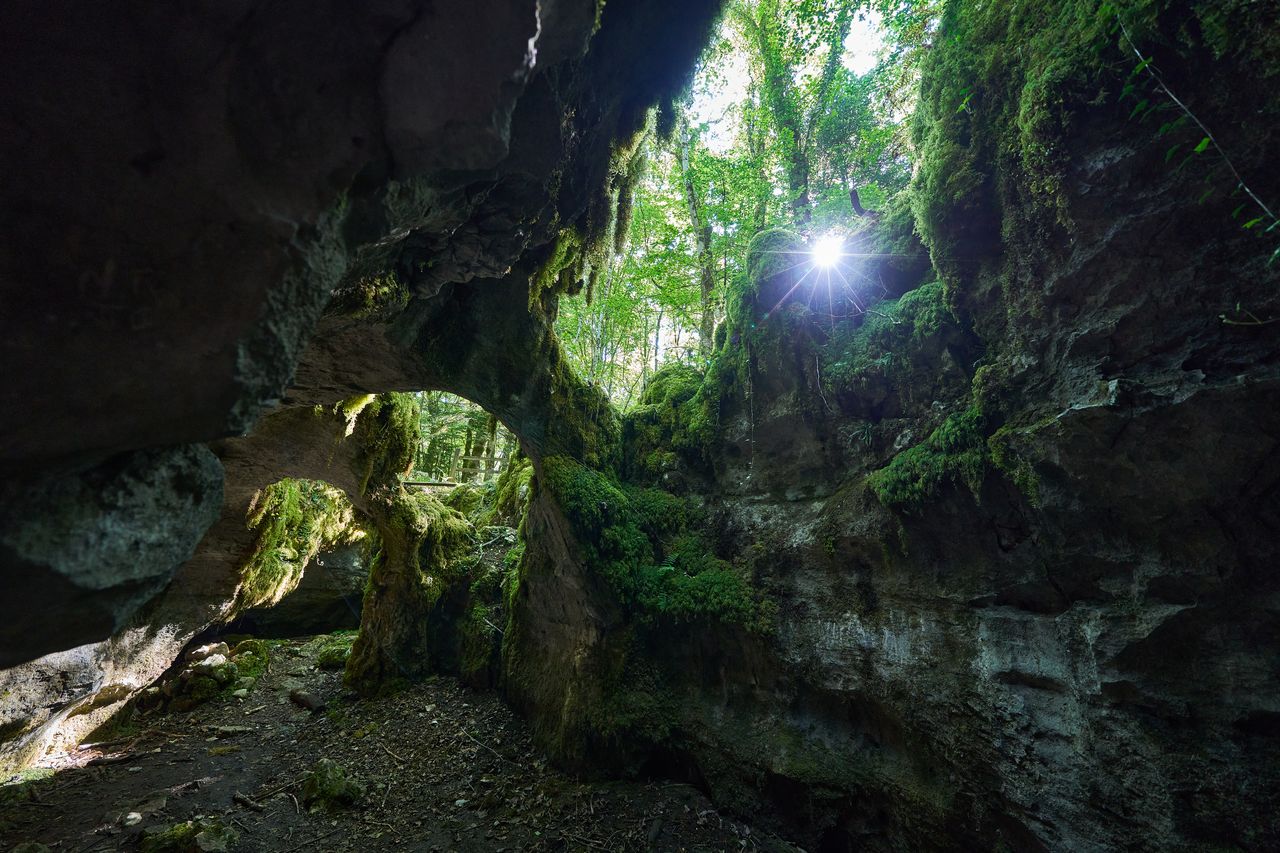 Sentier karstique des Malrochers à Besain, près de Poligny 10